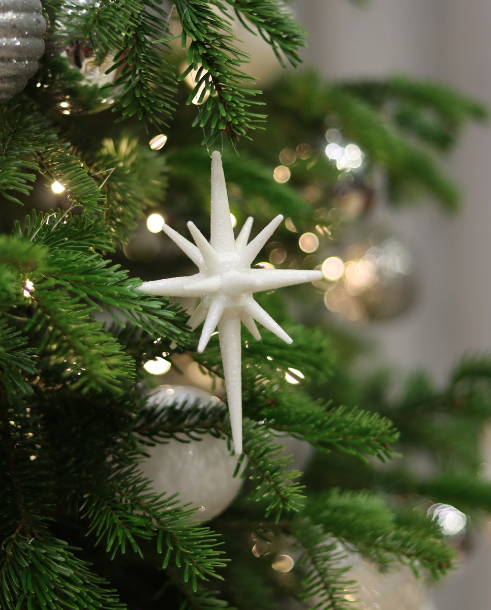 Christmas is nearly here....still time to order your decorated Christmas tree, order deadline is 18th November.  bit.ly/3Gzbjvd    #Christmas #xmas #trees