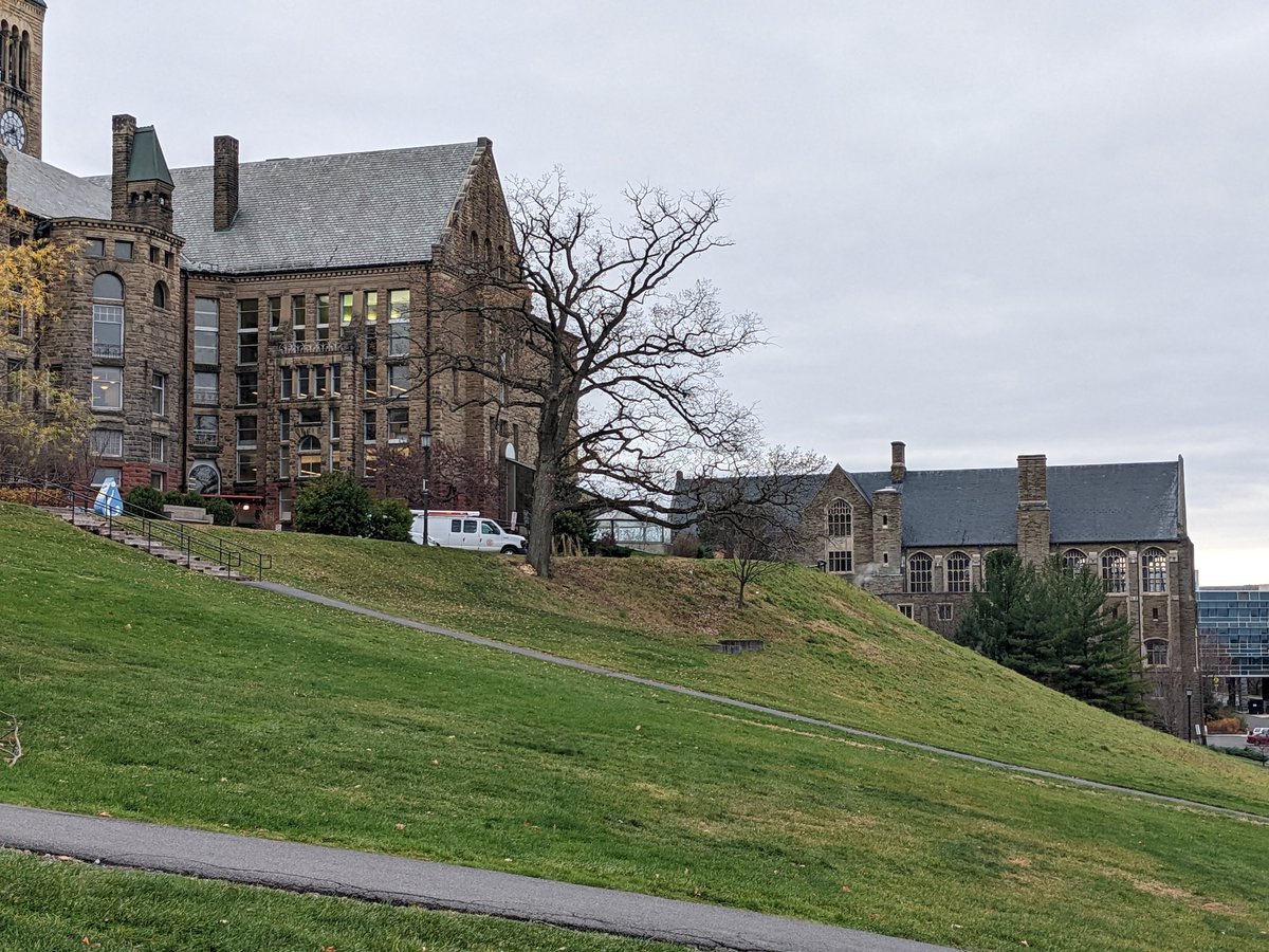 Libe Slope on a gray November morning.