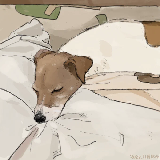 ねんねするちゃんクー 