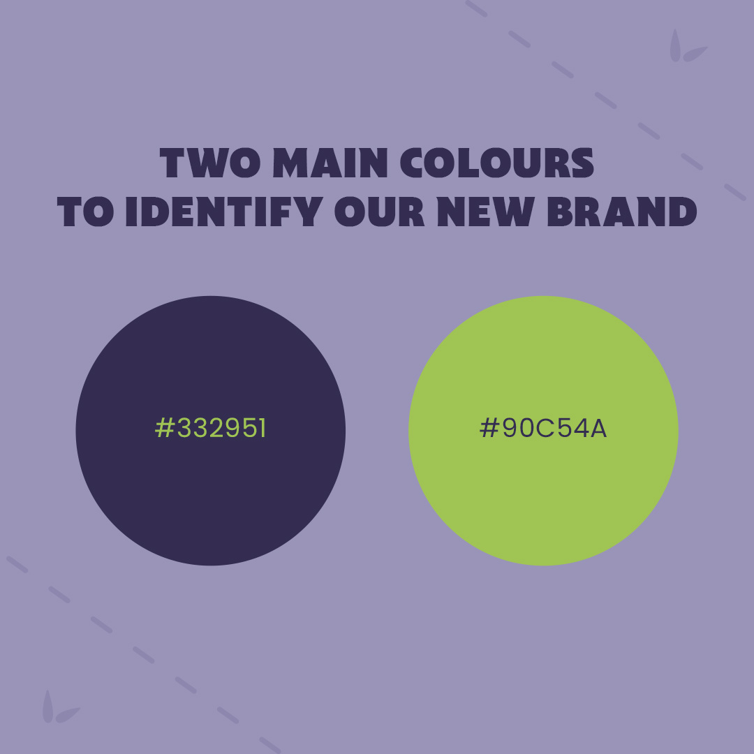 Two main colours to identify our new brand. 💚💜