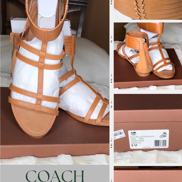 suzcat12's tweet photo. So good I had to share! Check out all the items I'm loving on @Poshmarkapp from @DP60117765 #poshmark #fashion #style #shopmycloset #coach #kennethcolereaction #stelladot: https://t.co/t7bDGZrKtX https://t.co/SkbTo6TdR2