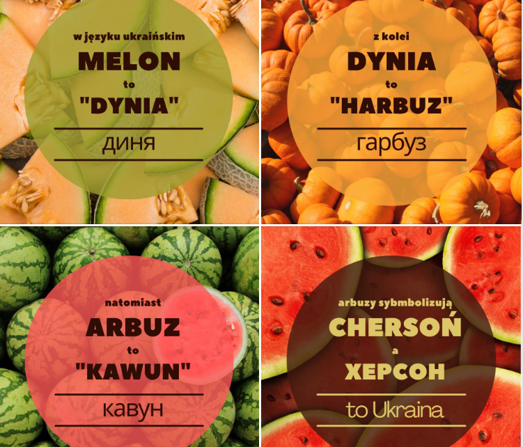 Michał Szułdrzyński🇵🇱 tweet media