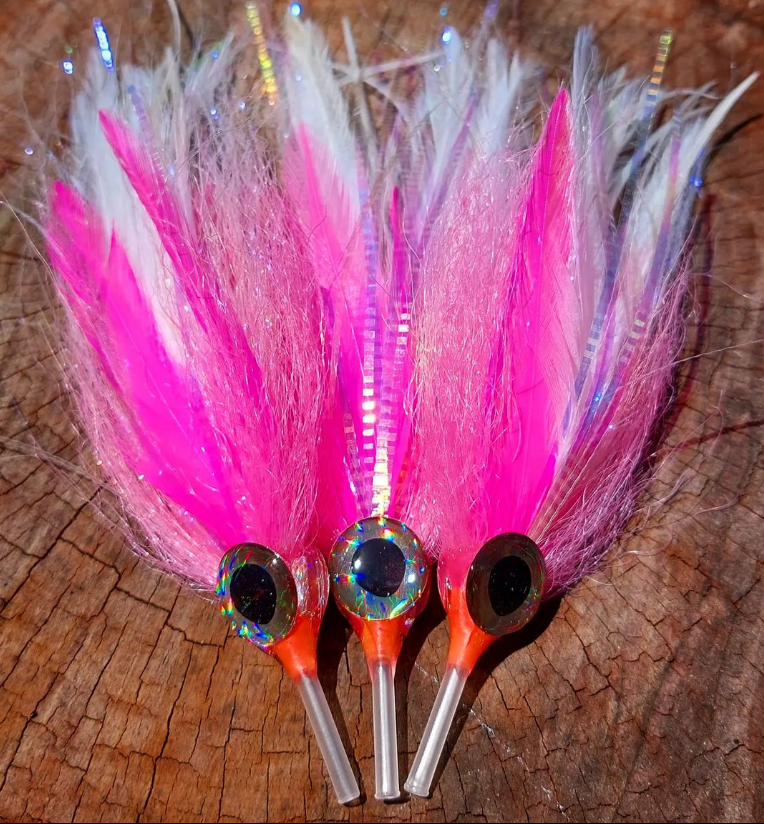 Saltwater on the Fly tweet media