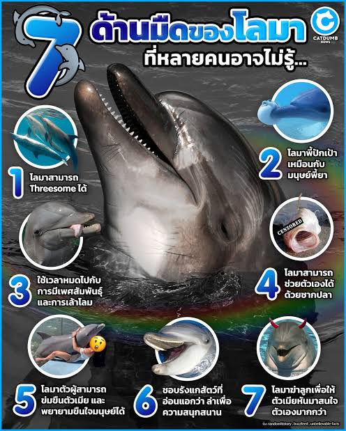 ⚝ เฟิ่งเฟิ่งปิ้วปิ้ว 🦋🐯 tweet media