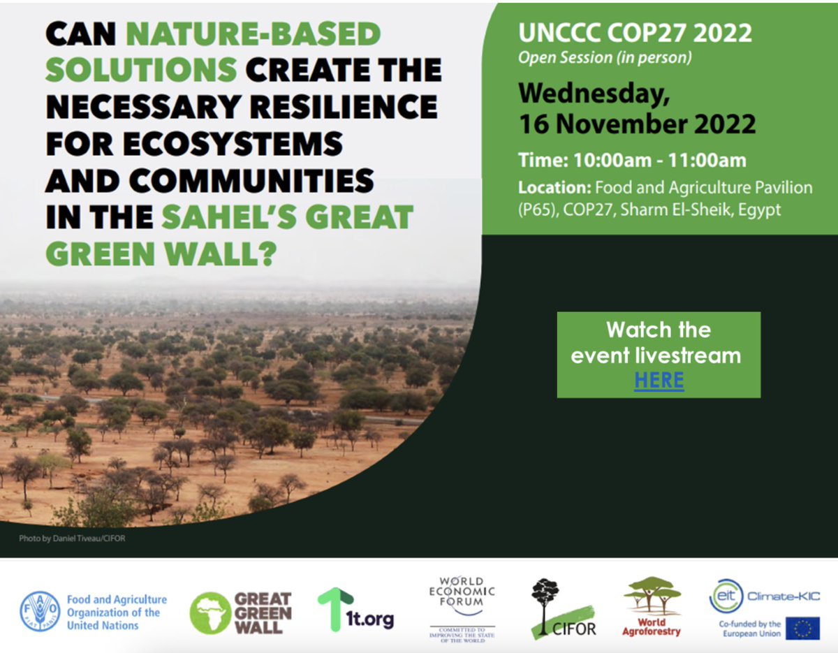 Christopher Martius tweet media