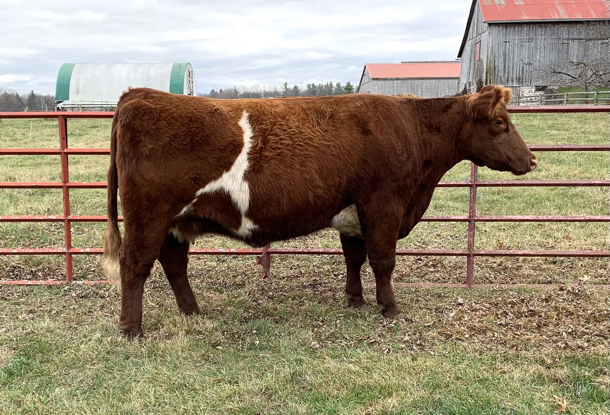 John W. Mason tweet media