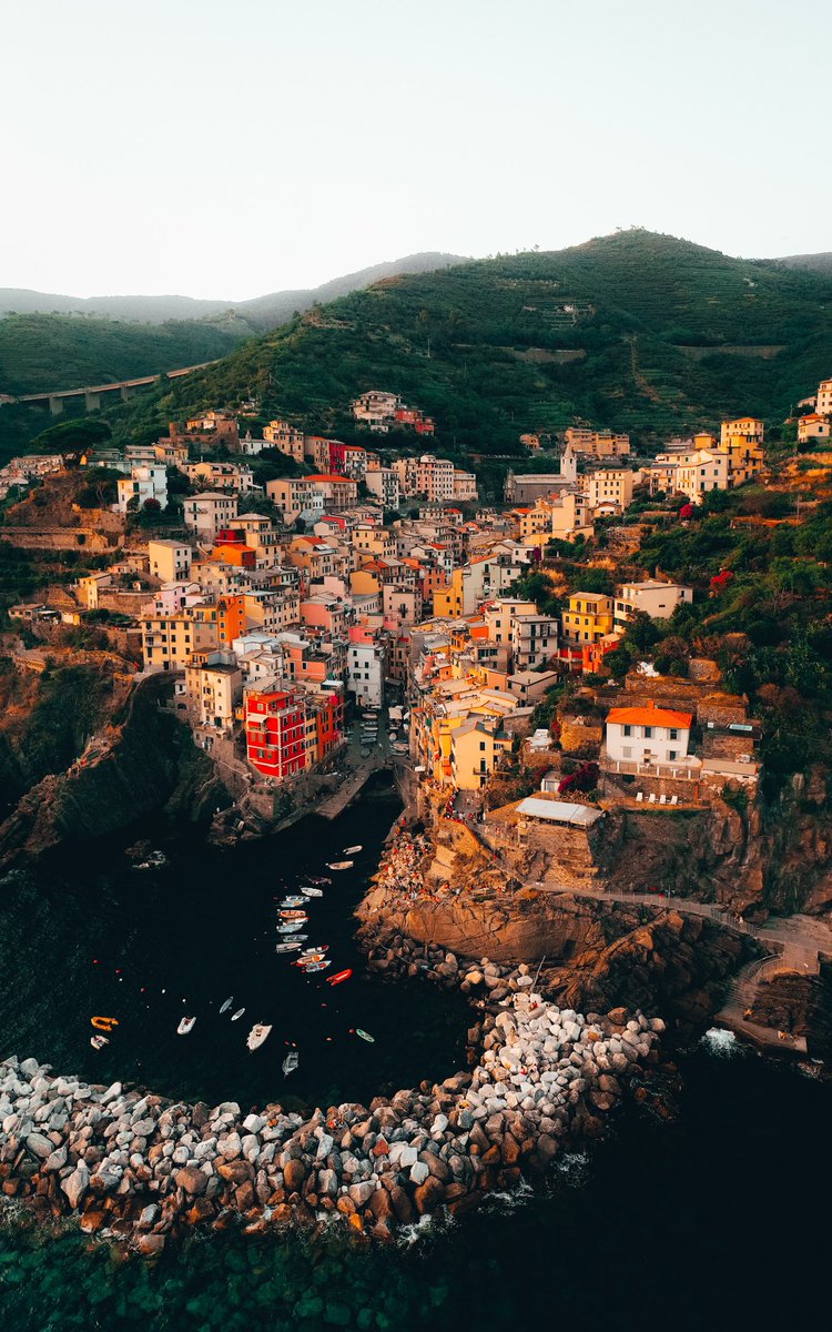 Jed Dobre tweet media