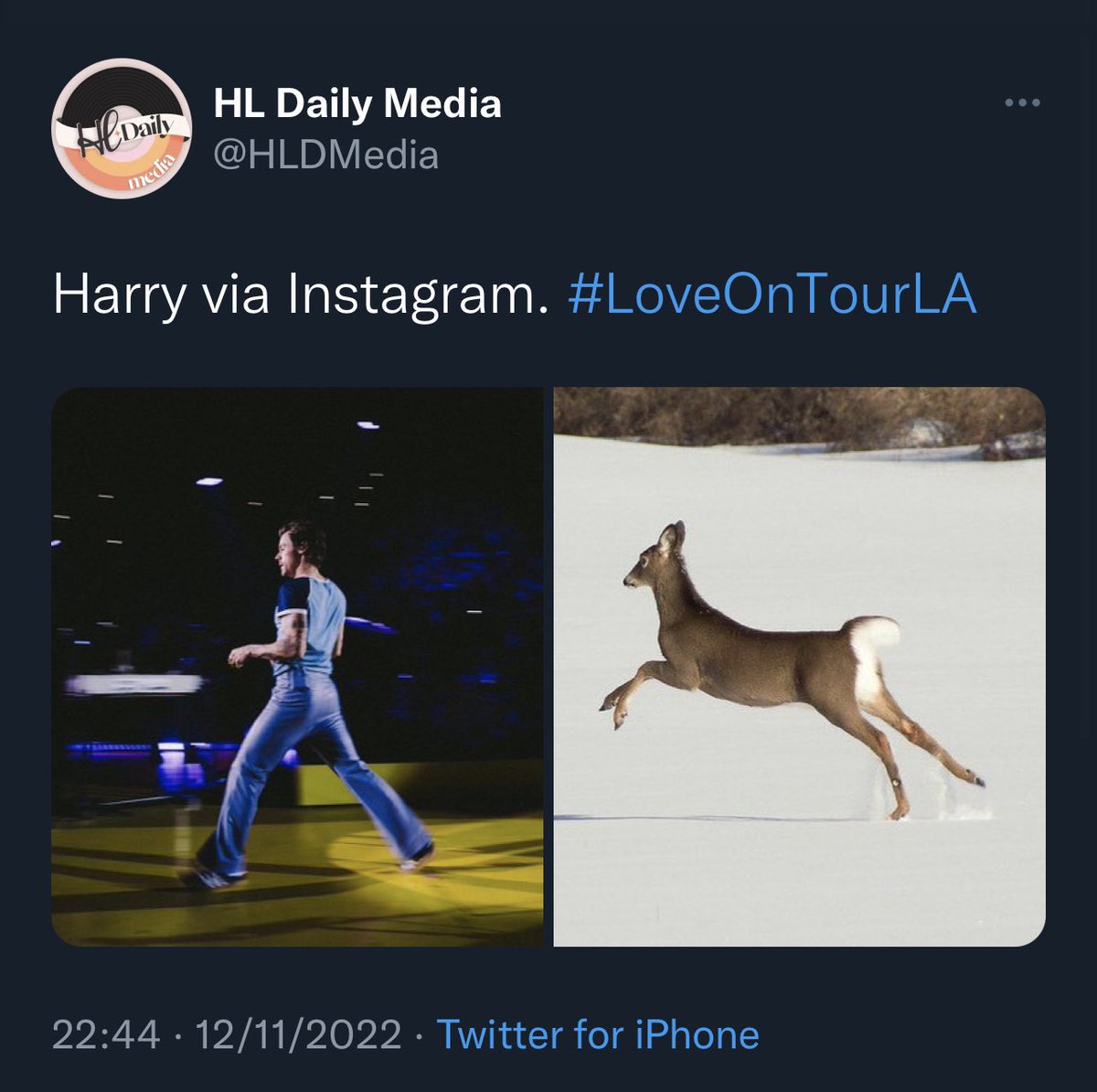 ForgodsakeLarry's tweet photo. First that IG post, and now being casually himself on Pauli’s live, commenting private jokes and having fun. Something is changing https://t.co/wcj2lEDlJ4