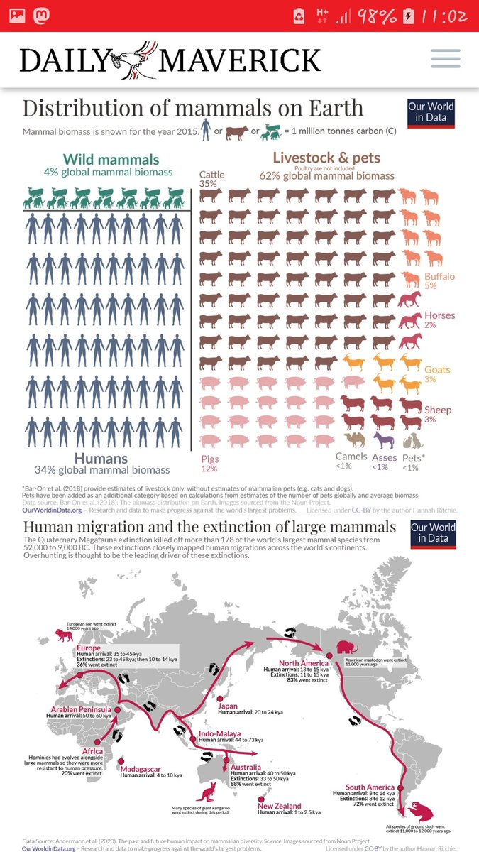 City's🐘 for Elephants & Rhinos🚩 tweet media