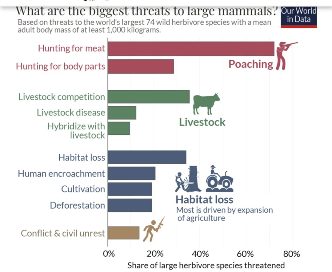 City's🐘 for Elephants & Rhinos🚩 tweet media