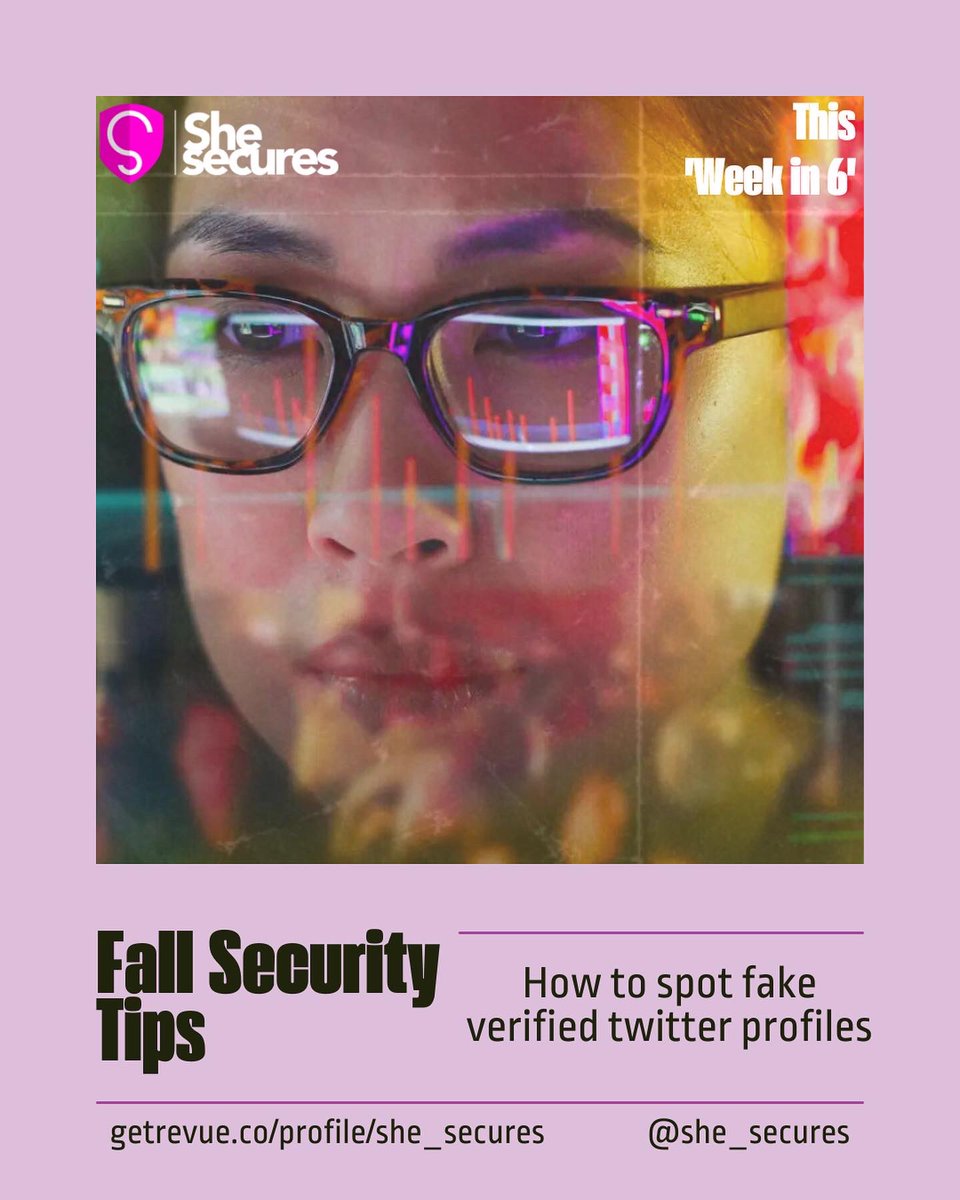 SheSecures tweet media