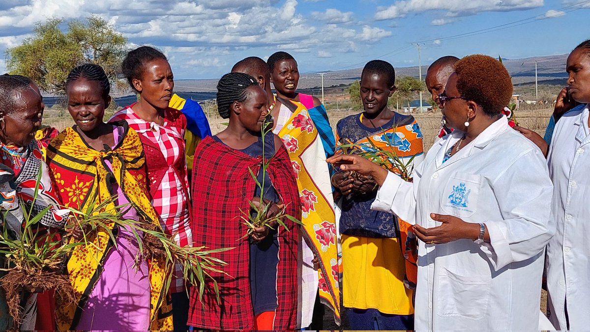 Esther Kanduma tweet media