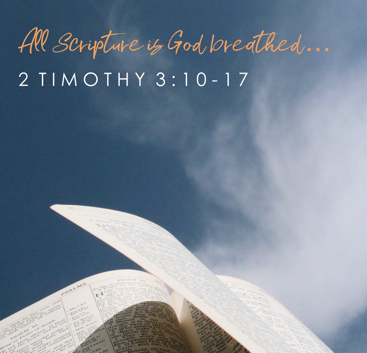 Trinityislingtn's tweet photo. It’s a mid-week opportunity to get together as Church family tonight. We’ll be diving into 2 Timothy 3:10-17 together from 8pm. Pie and mash for St Mark’s groups from 7.30pm https://t.co/uoz4yUqoyH
