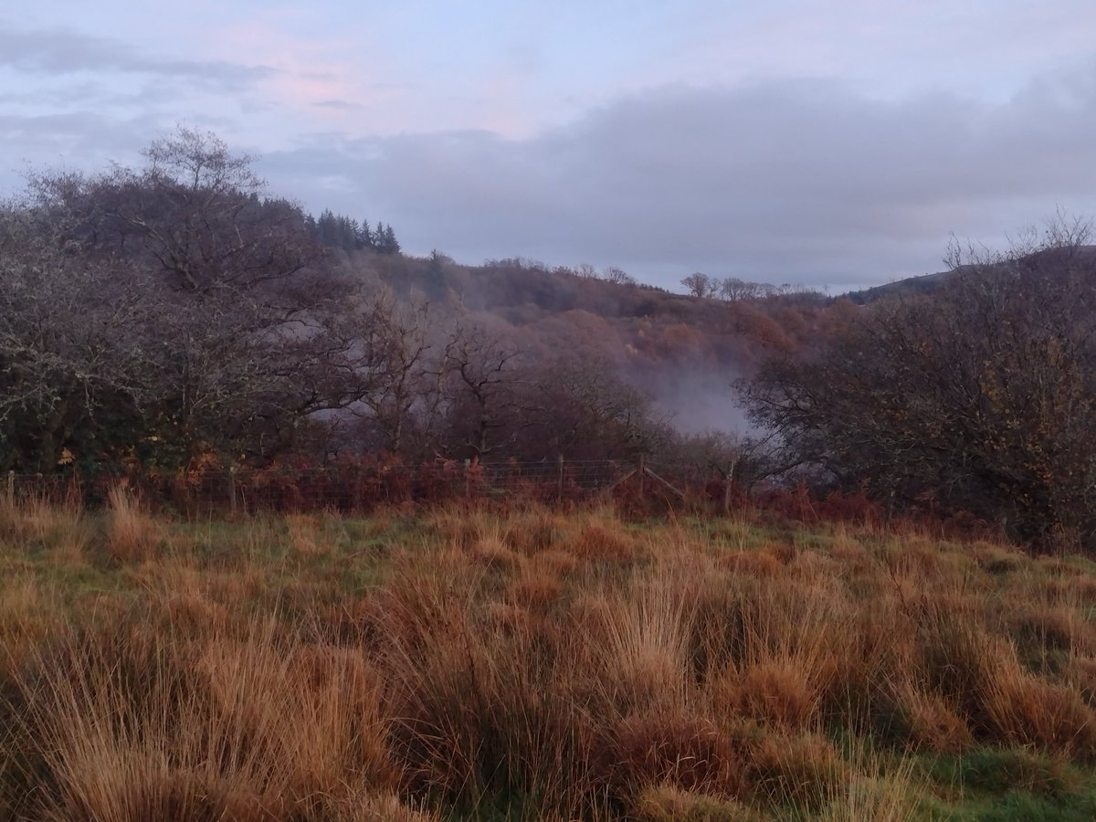 carwyn_graves's tweet photo. An 1888 writer from #Llanwonno on the different #cawl preferences of the area (chicken vs beef...no sign of lamb!), and the farmwives' penchant for making piles of pancakes (#cramwyth), served of course with #treacle. https://t.co/7Go4eVGT1Y