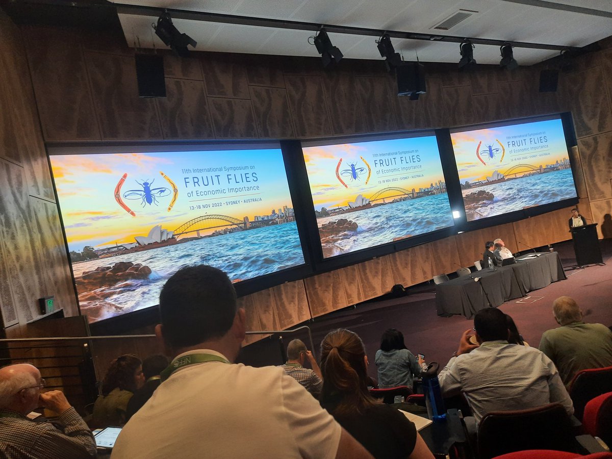 CSPrabhakar17's tweet photo. @serbonline @PennyMeasham @Bau_sabour @Agribih Participating in 11th International Symposium on Fruit Flies of Economic Importance 2022 at Macquarie University, Sydney Australia. Thanks to SERB for Internationl travel Grant and BAU for support. https://t.co/tnavQ9WdC1