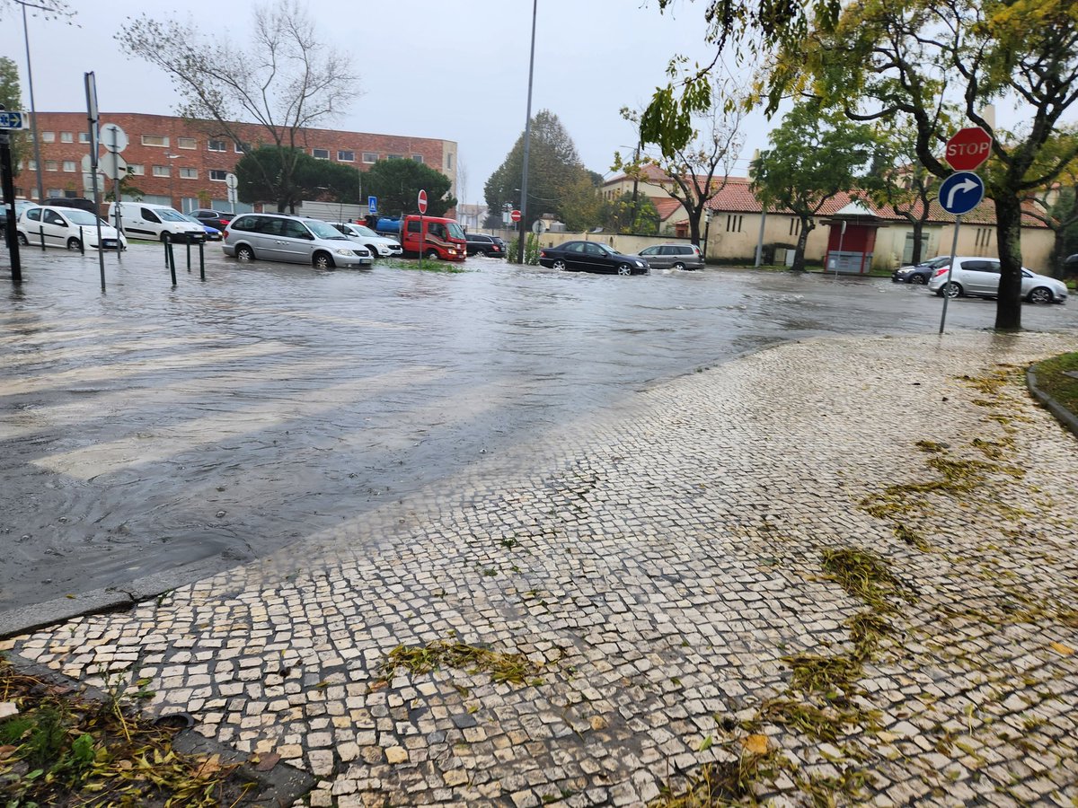 marisbernardo8's tweet photo. Os alunos da UA hj ou foram inteligentes ou viraram pokemons de água a tentar vir para as aulas https://t.co/2kpW5NGpNr