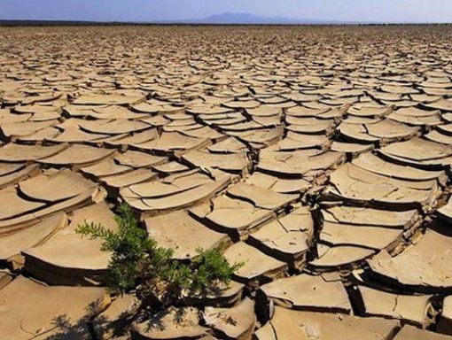 ardi_org's tweet photo. Let's all come together to save the people and take action. sponsor a family to survive the drought #ClimateCrisis #ClimateAction #COP27 https://t.co/yTT7XwsefF
