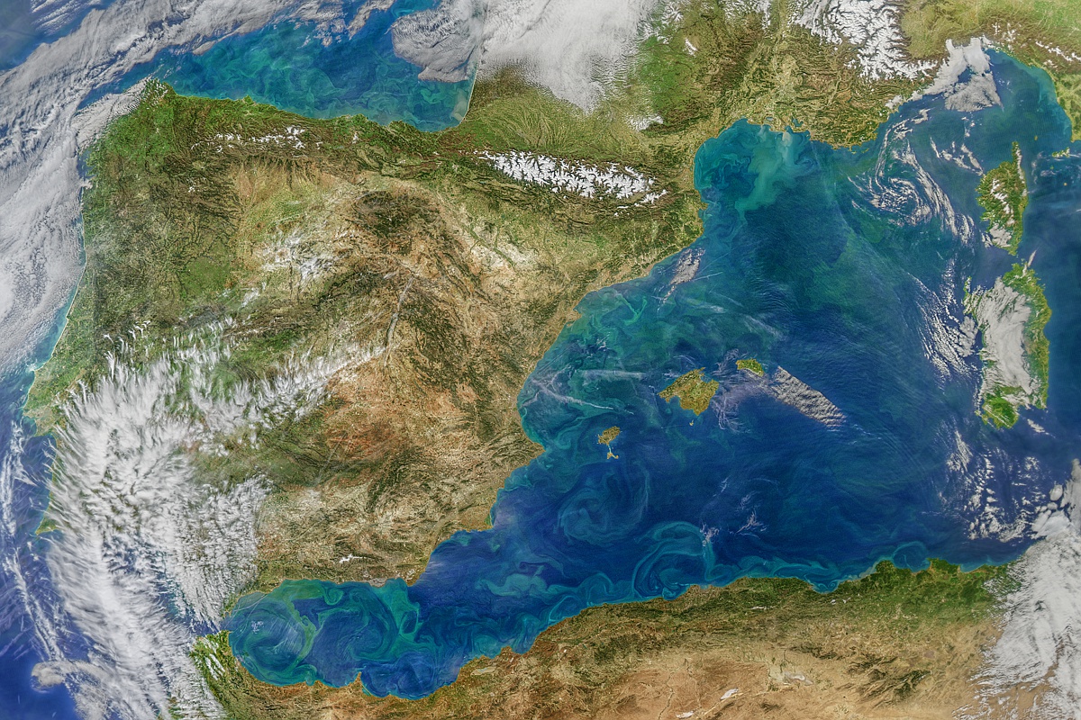 IEOoceanografia's tweet photo. La producción primaria del Mediterráneo español ha disminuido un 20% en las últimas dos décadas 📉🦠

Un equipo del @IEO_Malaga ha analizado la concentración superficial de la clorofila en los últimos 20 años a través de imágenes de satélite 🛰️🌊

➡️ https://t.co/Vq7GcRcICH https://t.co/kvQRTJ4NMJ