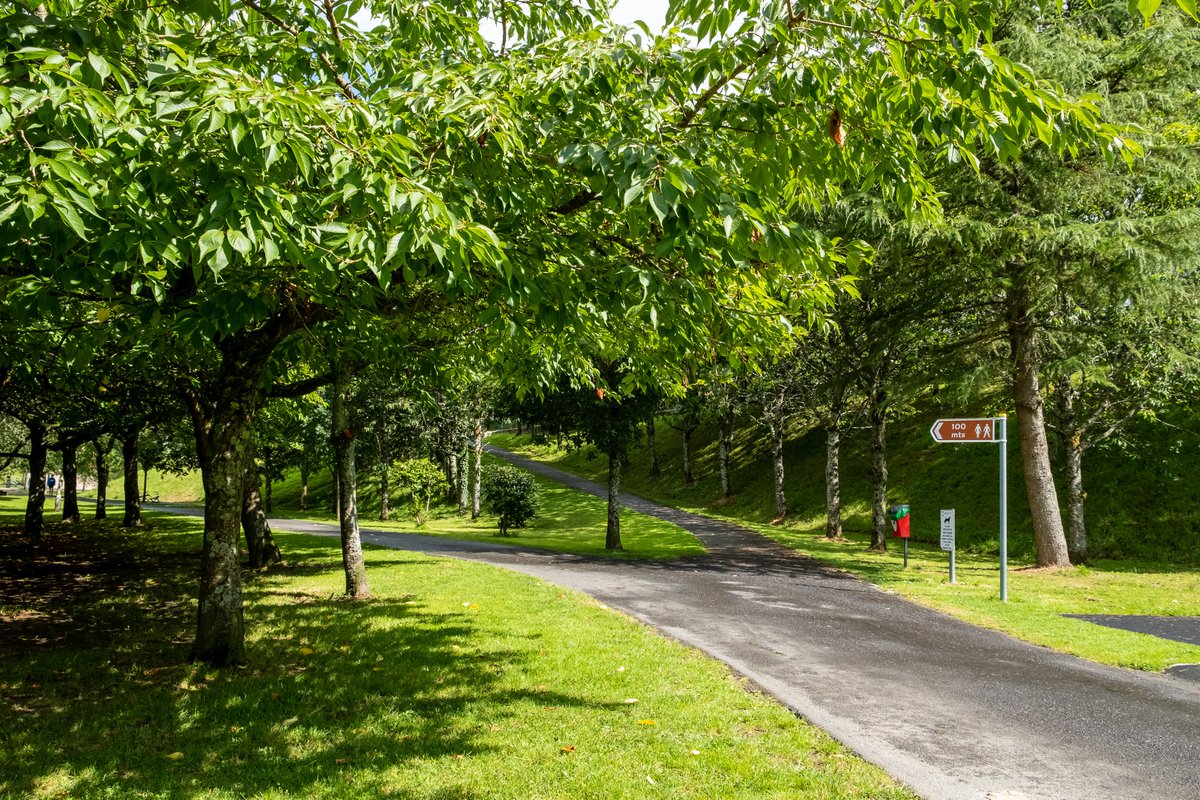 Ballina is the southern gateway to Lough Derg and is connected to Killaloe by an historic bridge. This picturesque village is bursting with life and energy. There is an abundance of exciting water activities such as lake cruises, fishing lessons and stand-up paddling. #VisitTipp