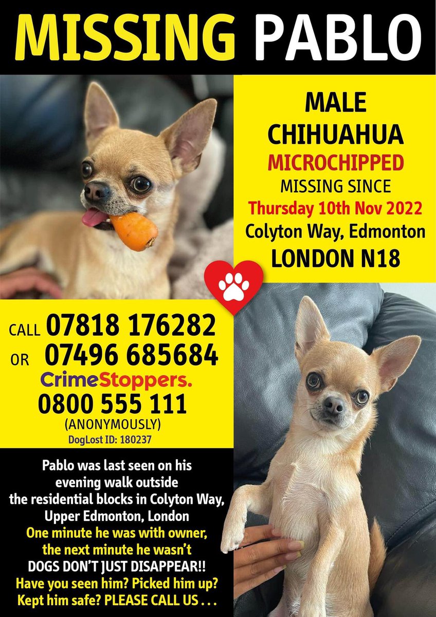 KarenFi51820768's tweet photo. #FindPABLO #EDMONTON, #LONDON N18
#RT PLEASE DO NOT CHASE IF YOU SEE HIM - HE WILL RUN - PLEASE JUST CALL How can a little dog go for a walk with his owner, they turn round and he is just not therePlease join his group:https://t.co/zqDaNvmxn8 DogLost link:
https://t.co/DBd7gzJabY https://t.co/3SawbNEXb7