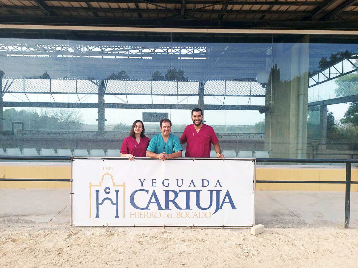 ovoclone's tweet photo. Nuestro equipo de #Ovohorse ha estado haciendo una #OPU en @Yeguada_Cartuja
¡Ha sido toda una experiencia, donde hemos conseguido 16 óvulos!
Ahora, toca madurarlos en el laboratorio para luego realizar la #ICSI.
https://t.co/XID6ytzYlw
#caballos #Yegua #ReproduccionEquina https://t.co/nGLMdgkUdP