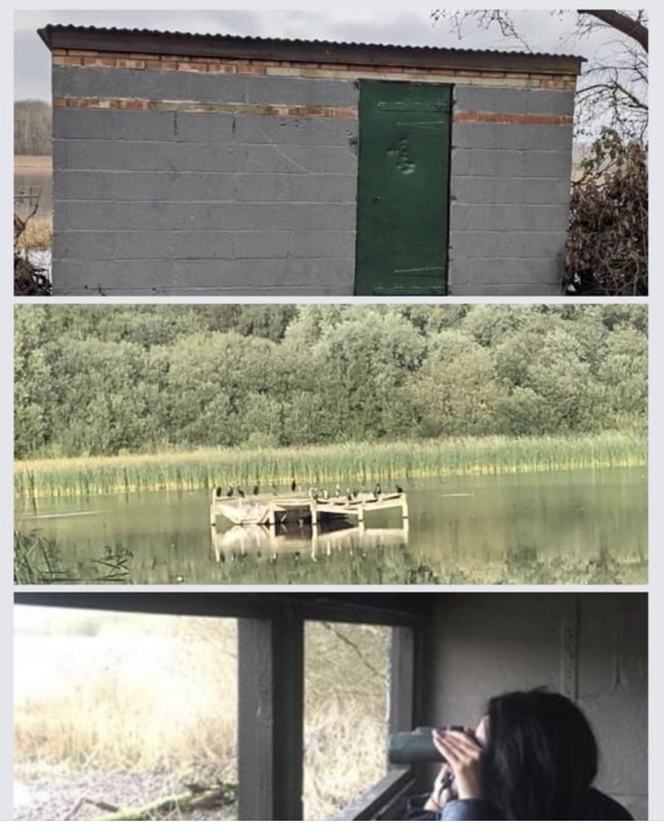 Lincoln_Retreat's tweet photo. Bring your binoculars nip into bird Hyde and engage with nature π³π¦π
Retreat has over two hundred species of birds
#royalsocietyforprotectionofbirds #lincolnshirewildlifetrust
#historicengland #engagewithnature #hottubholidays #winterholidays #visitlincoln
#LincsConnect https://t.co/mzBDYVKeXX