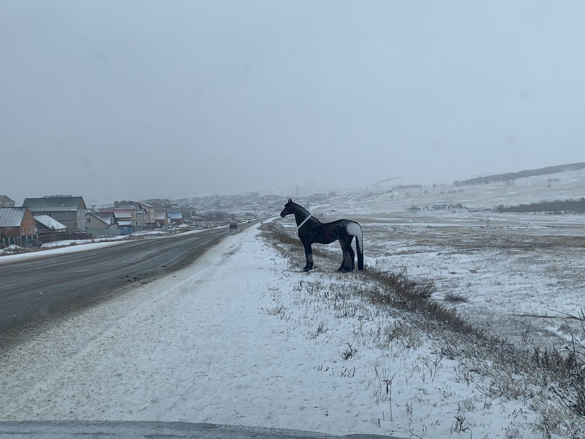 В Казахстане везде щиты с конем вместо машины дпс 🙂