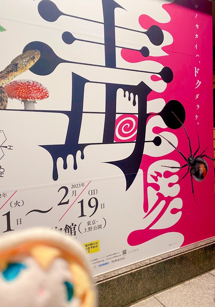 いってきたよ🍄
図録これベルベットPPに箔押ししてない???しかもハードカバー???? 