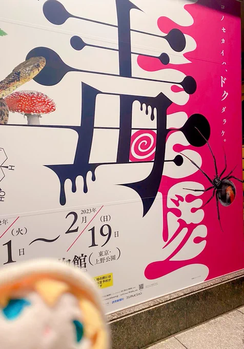 いってきたよ🍄
図録これベルベットPPに箔押ししてない???しかもハードカバー???? 