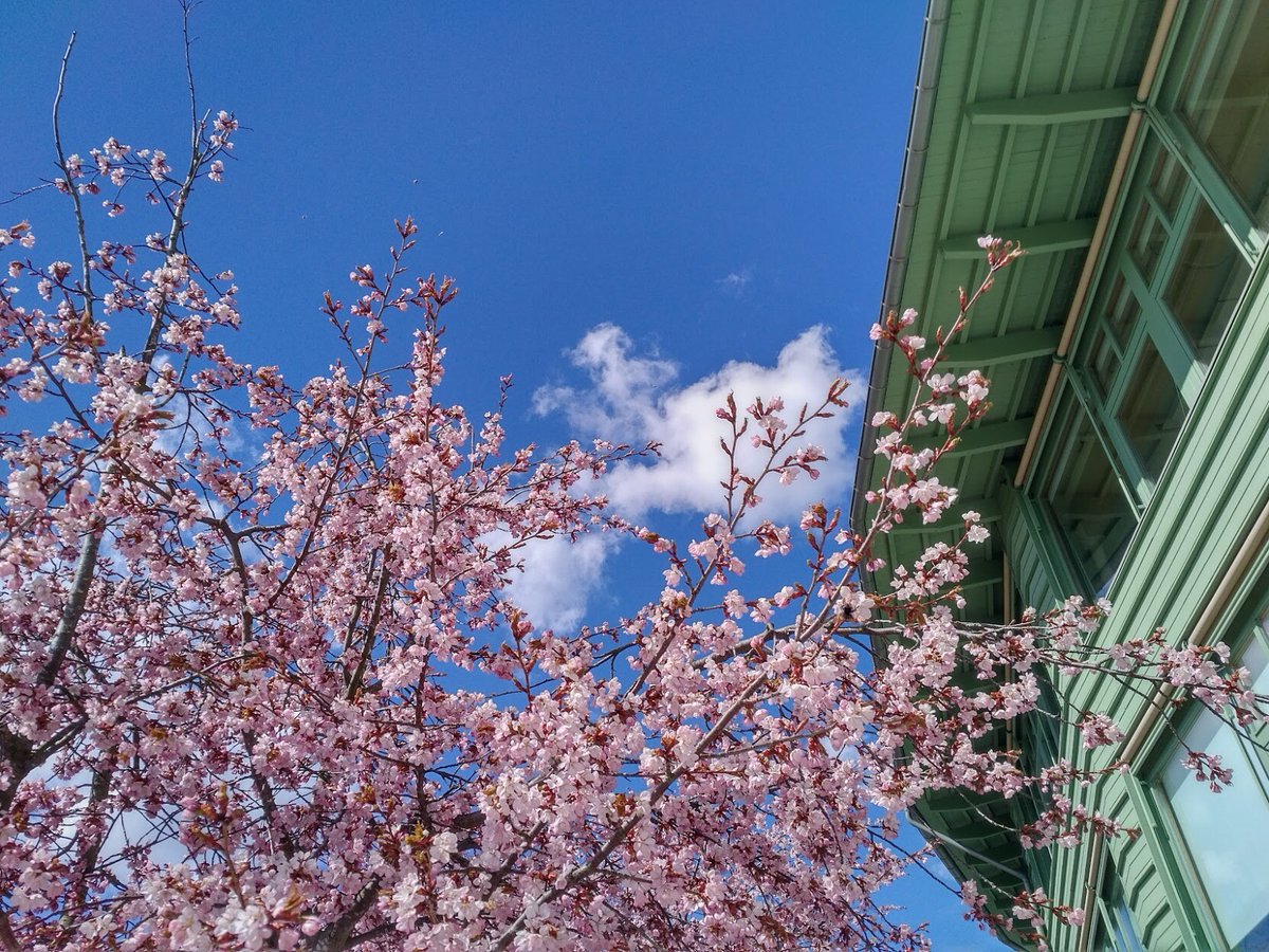 MattMacL's tweet photo. Still 2 weeks left to apply!

Assistant Professor in Environmental Chemistry of Organic Contaminants

Come join us here at Stockholm University!

https://t.co/0BOaDqOOAv https://t.co/KrO3kzTfUH
