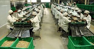 AfricanCashew's tweet photo. #NovemberTuesdayCashewNews #ACA

Is processing in Africa the solution to fixing the Global #CashewSupplyChain?

Find answers here: https://t.co/NOhlmiiAJm 
 
@AfricanCashew @Olam @Intersnack13 @sahajcashew @sustainablenut @icajubrasil @CaroNutCo @ChaseGhana @USDA @CNFA @ComCashew https://t.co/aFp8um0cnW