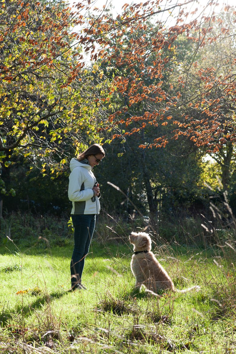 Suited is officially one year old and here is the newest staff member (on a contract outside IR35) hearing all about the next 12 months plans. #outsideir35 #contractors #freelancers #selfemployed