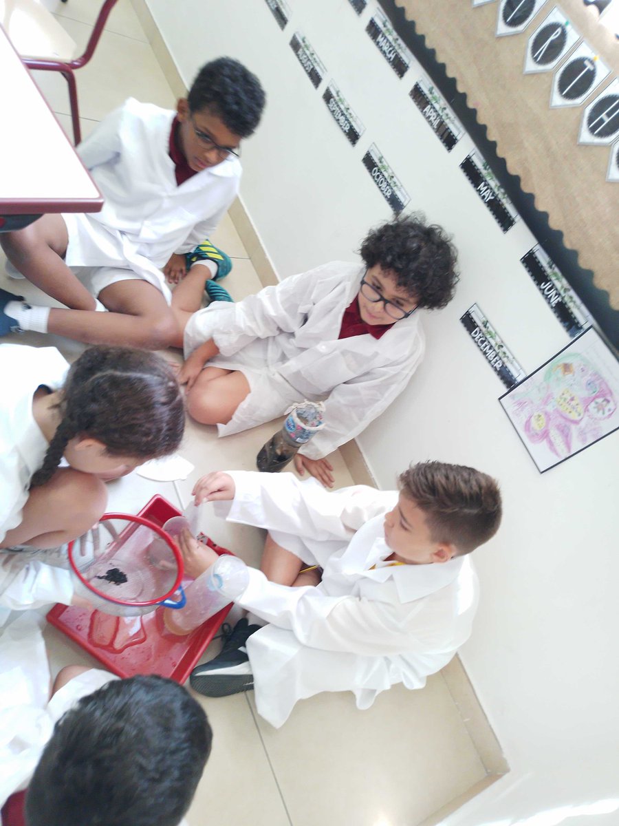 VHPrimary's tweet photo. Year 5 investigating separating substances and reversible and non-reversible changes in Science this week.
#scienceexperiments #science #doandlearn #VHPS #primaryschool #britishschool #outstanding #schoolstories https://t.co/FbXWjcnlBT
