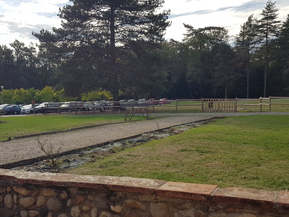 Paillette Claudie tweet media