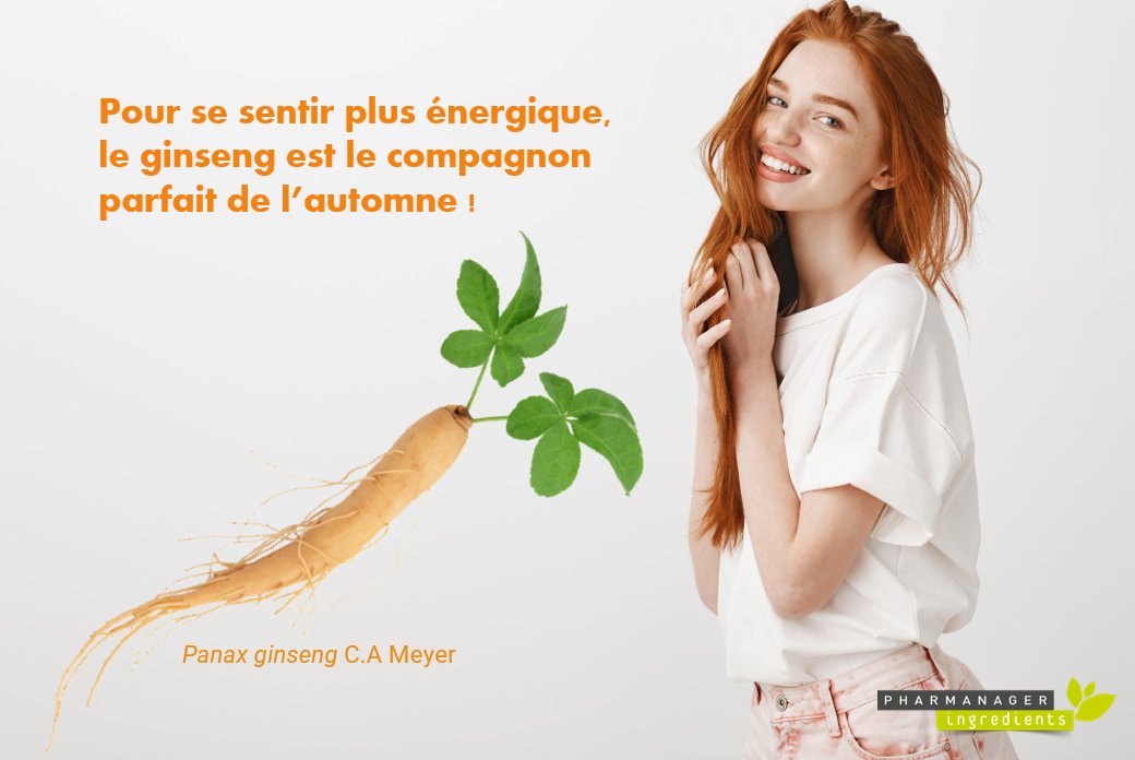 🌱 Le #ginseng, l'indispensable pendant les périodes froides ! 🥶
Il est l'ingrédient de référence pour rebooster l'organisme ⚡ mais possède de nombreux autres bienfaits. 
✅ Il aide en cas de fatigue, de stress et de convalescence.
✅ Il contribue à la protection cellulaire