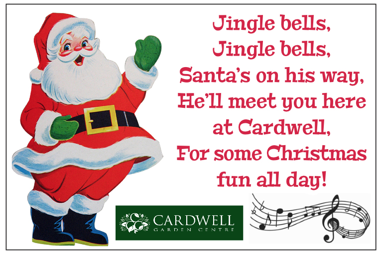 Save the date, folks! Our Big Christmas Weekend is on Saturday and Sunday, November 26th and 27th. Come along to enjoy some festive fun. And of course, Santa will be in his Grotto to meet all the children and hear what they want for Christmas.