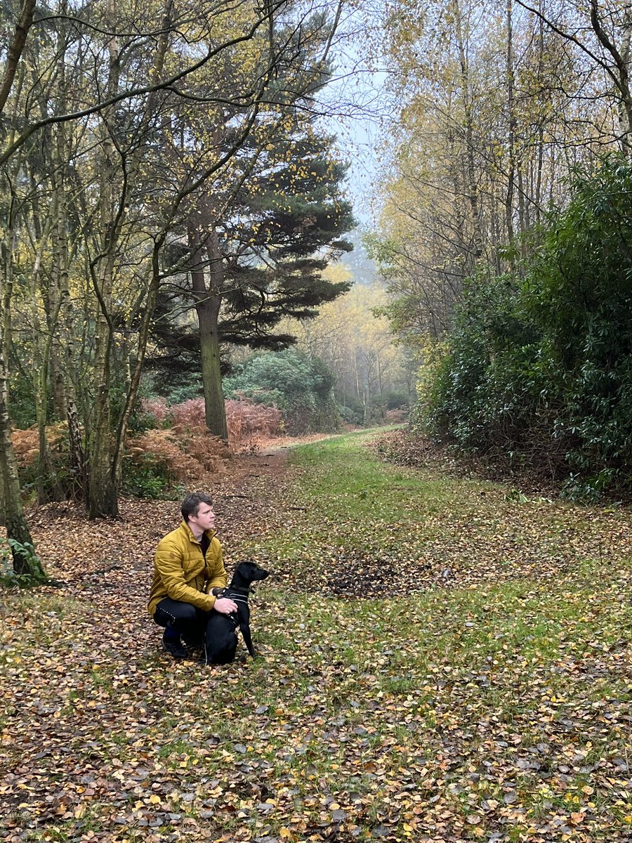 steve1246's tweet photo. Puppy and I exploring https://t.co/JtX1qA37Pp
