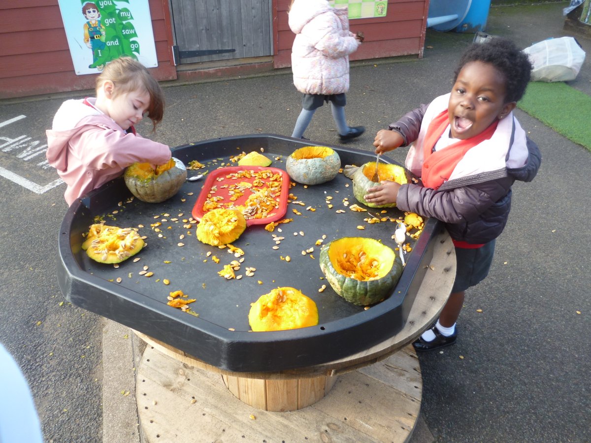 In Reception we observed some odd-looking green pumpkins. This was linked to learning about Harvest and other celebrations. We practised our mark making skills with wipe off pens. Then we took the pumpkins outside and explored them with their tops cut off. We used all our senses.