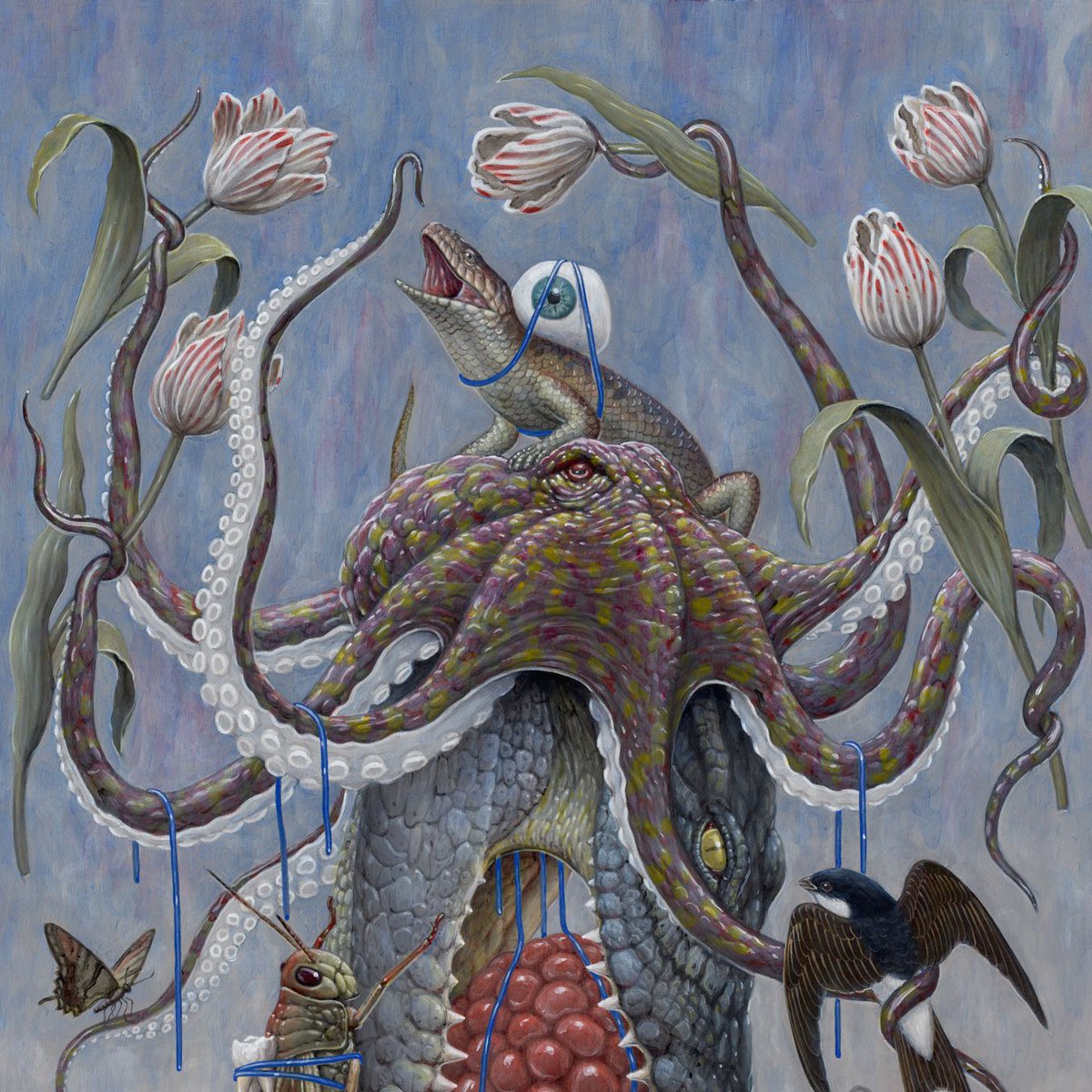 Nick Sheehy tweet media