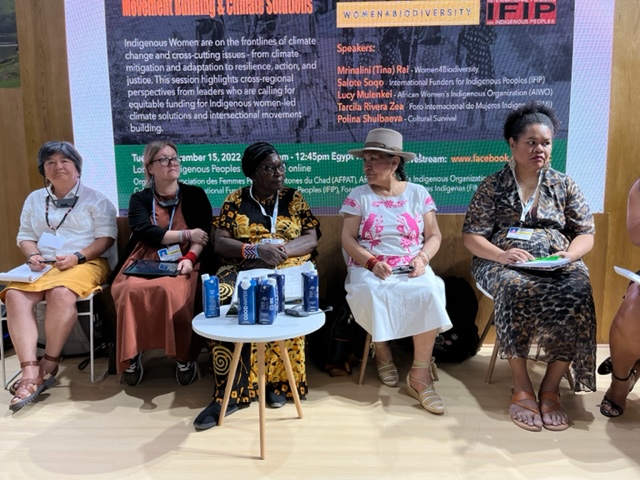 BiFeiring's tweet photo. "No somos pobrecitas" - we need equitable funding for #INDIGENOUS women's leadership, movement building and climate solutions. @IIWF at #COP27 https://t.co/oxmvKWRsbB