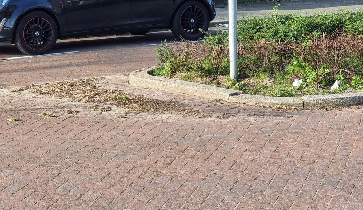 TonvanderToolen's tweet photo. @Stadsbeheer010 @vincentkar @LeefbaarRdam fijn als #DSW de straten met een bosmaaier van onkruid verlost.. Alleen ligt het er in de straten van de #Rivierenbuurt in #Zevenkamp zo bij.. Volgens mij is dit niet de bedoeling.. #Dieze #Does #Donge https://t.co/f5WsnuKT9S