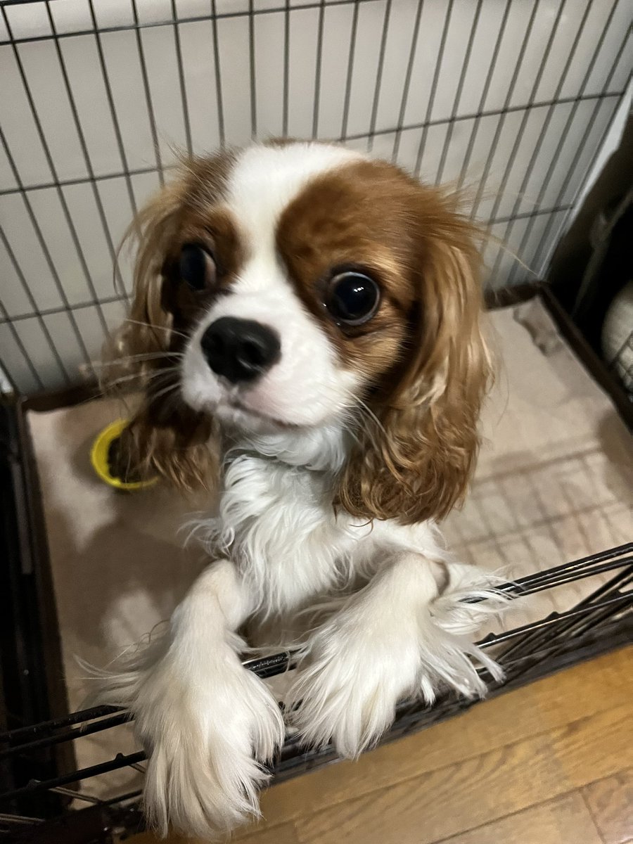 皆さまお疲れ様でした
明日も愛で世界を変える🐶