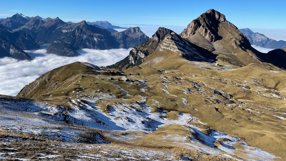 Cejka Lab tweet media