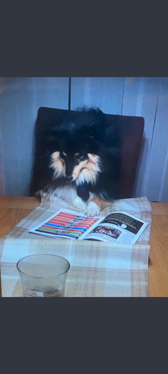 Literacy2223's tweet photo. This gorgeous boy 🐾 loves to read 📚 ❤️ #BookWeekScotlandPets https://t.co/3LMSOWJQkU