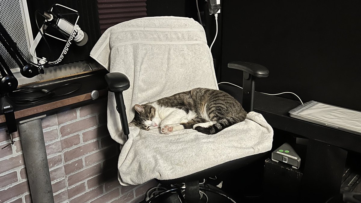 realBradStaggs's tweet photo. They’re so cute when they’re sleeping and not tearing shit up. #Cats #DocKitty #WhatILearnedToday https://t.co/bafguWiYt5
