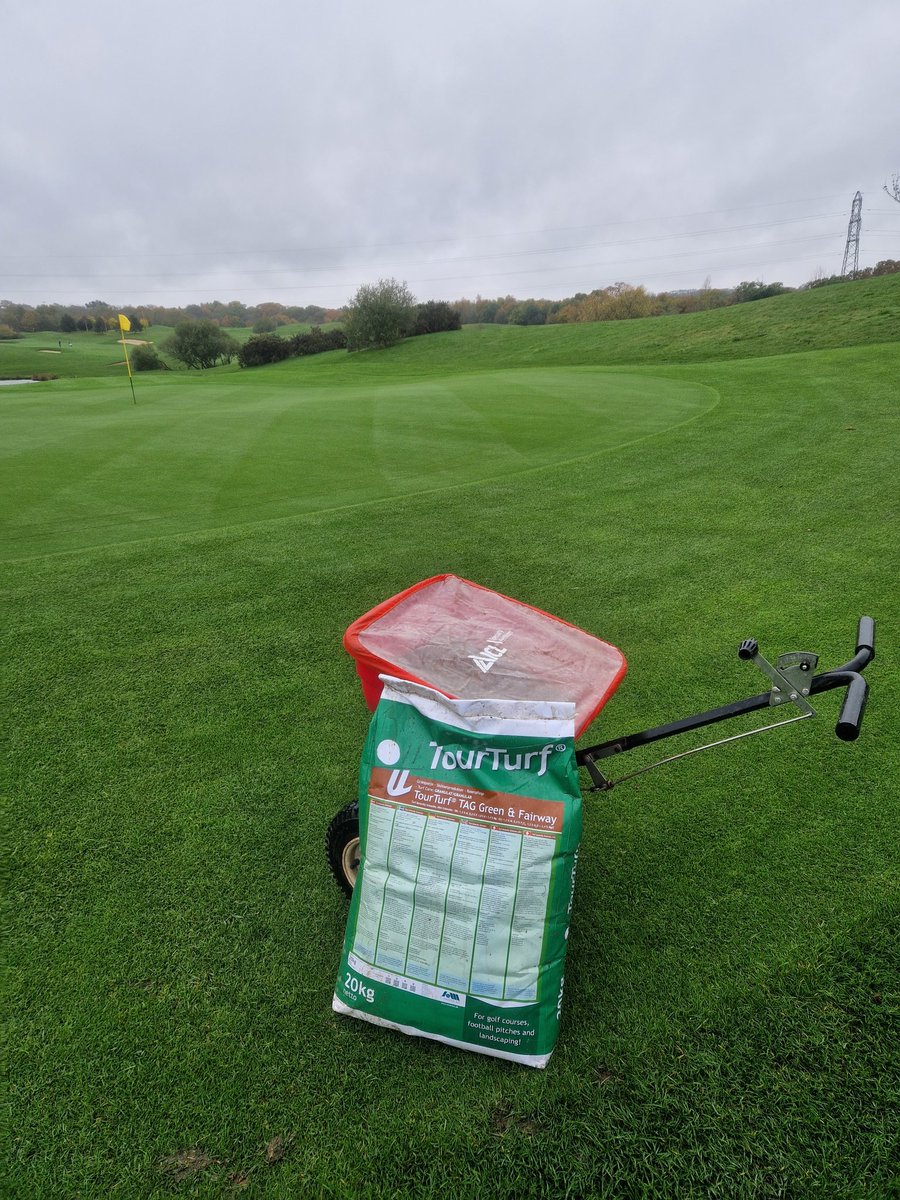 Holes, rain, conditioner @AdvanceGrass