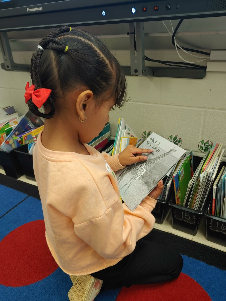 Eliana Roberts tweet media