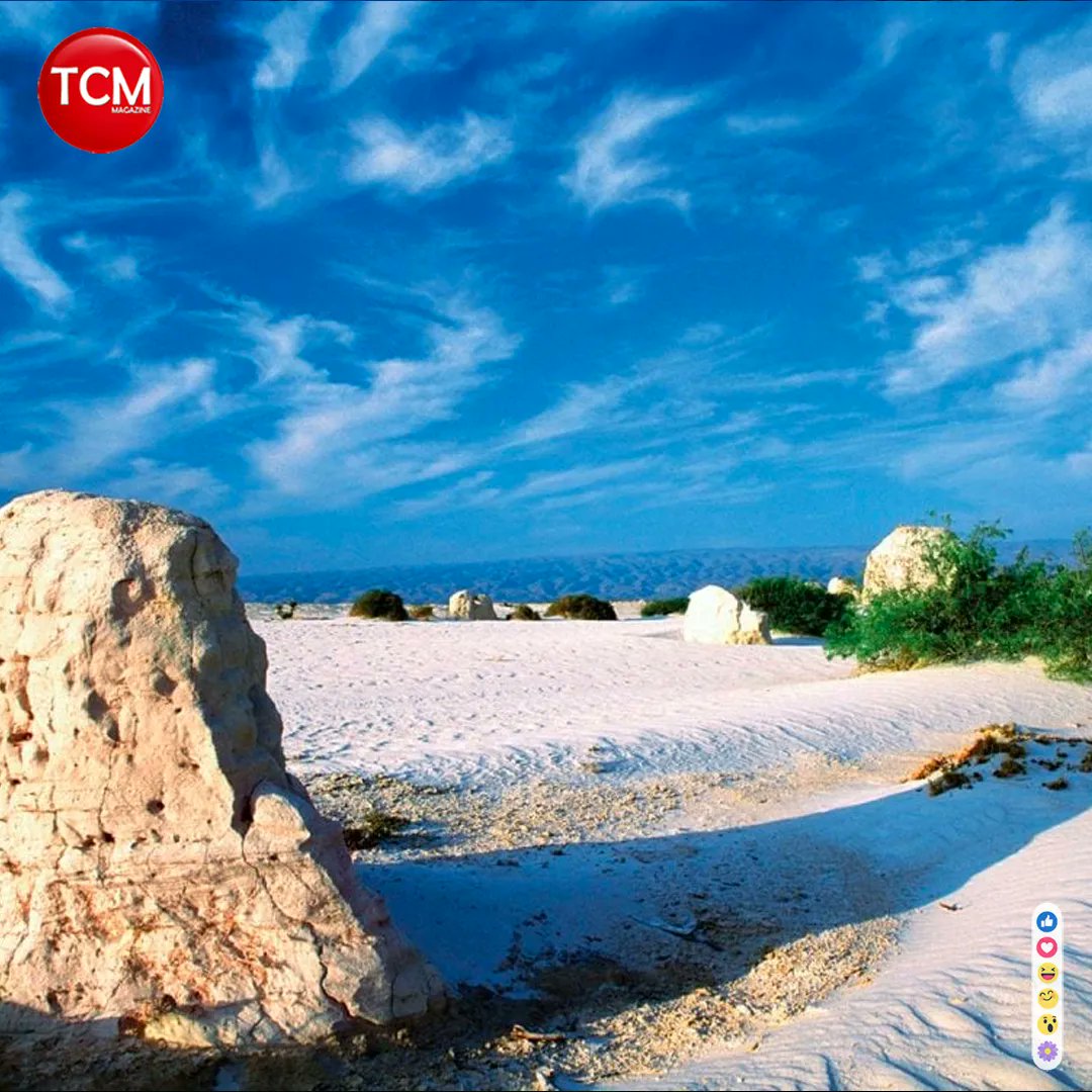 TCMagazine_'s tweet photo. #DestinosCDMX 🇸🇳

Si lo que te encanta son los lugares donde tomar Fotografías increíbles entonces Cuatro Ciénegas es el Pueblo Mágico ideal para ti  donde disfrutar de un hermoso oasis natural de arenas blancas, montañas, poza azul y áreas verdes. 

#viajes #CuatroCienegas https://t.co/LSWhSXhetp