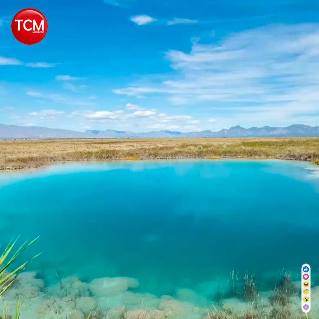 TCMagazine_'s tweet photo. #DestinosCDMX 🇸🇳

Si lo que te encanta son los lugares donde tomar Fotografías increíbles entonces Cuatro Ciénegas es el Pueblo Mágico ideal para ti  donde disfrutar de un hermoso oasis natural de arenas blancas, montañas, poza azul y áreas verdes. 

#viajes #CuatroCienegas https://t.co/LSWhSXhetp