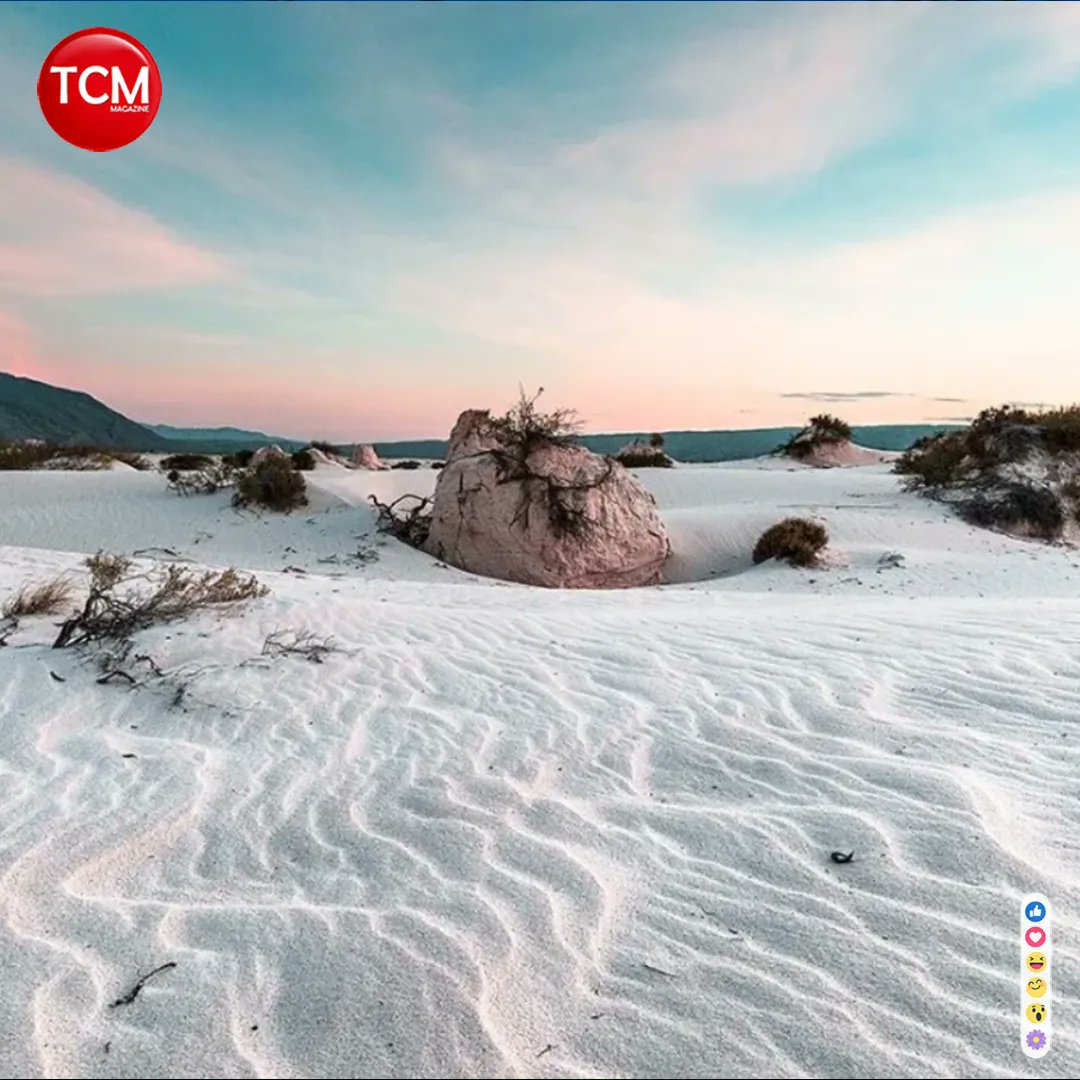 TCMagazine_'s tweet photo. #DestinosCDMX 🇸🇳

Si lo que te encanta son los lugares donde tomar Fotografías increíbles entonces Cuatro Ciénegas es el Pueblo Mágico ideal para ti  donde disfrutar de un hermoso oasis natural de arenas blancas, montañas, poza azul y áreas verdes. 

#viajes #CuatroCienegas https://t.co/LSWhSXhetp